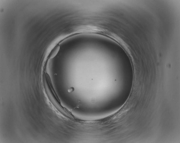 X0000062171488200512161238