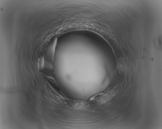 X0000062171490200512161237