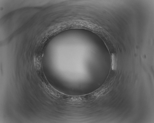 X0000062171491200512161237