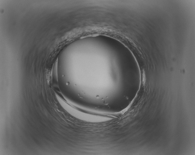 X0000062171492200512161237