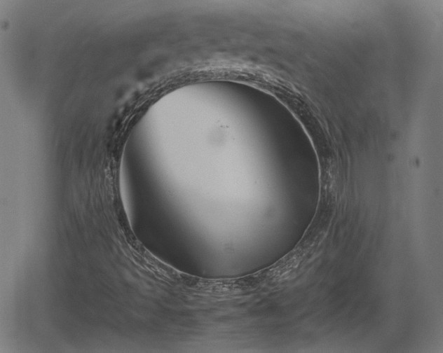 X0000062171493200512161237