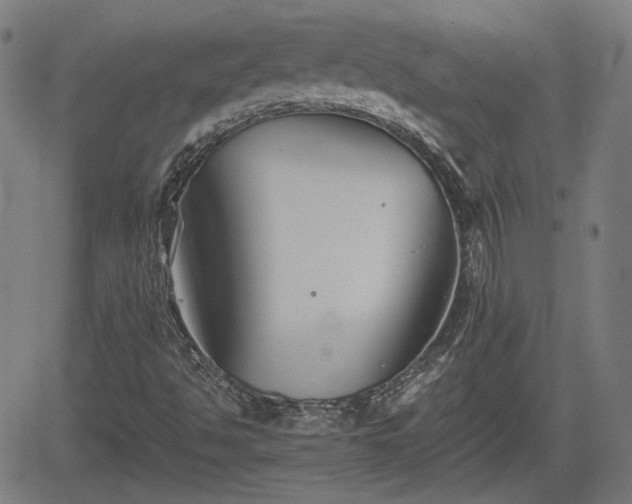 X0000062171494200512161237