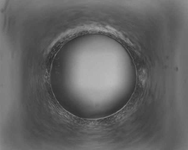 X0000062171495200512161237