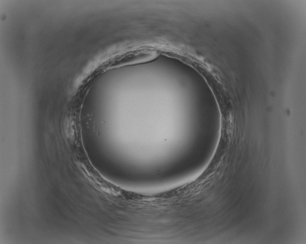 X0000062171496200512161237