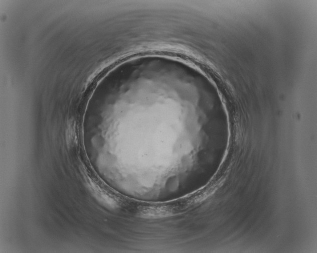 X0000062171497200512161237