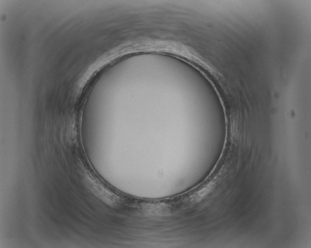 X0000062171498200512161237