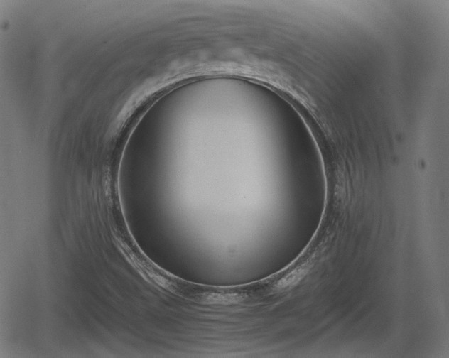 X0000062171499200512161237