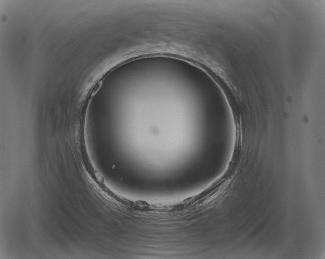 X0000062171500200512161237