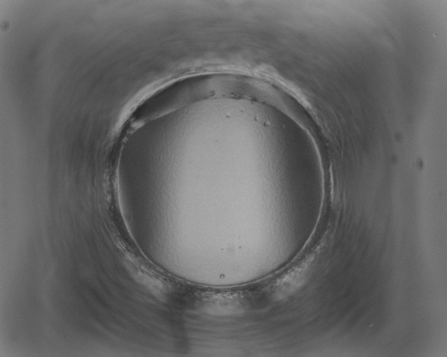 X0000062171501200512161237