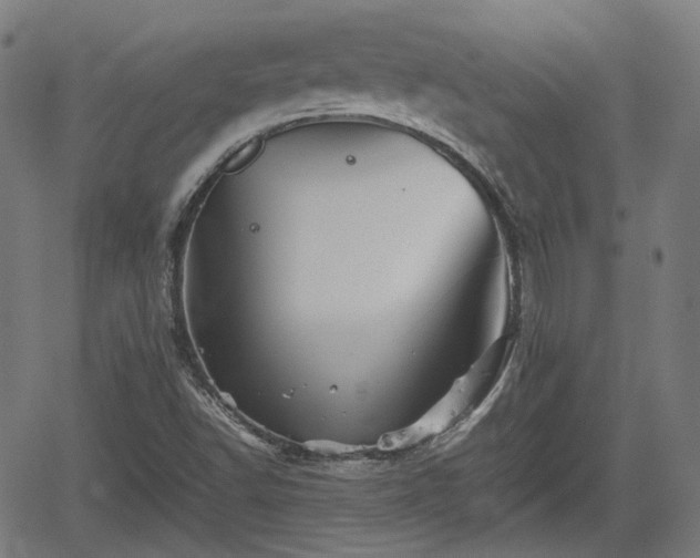 X0000062171502200512161238