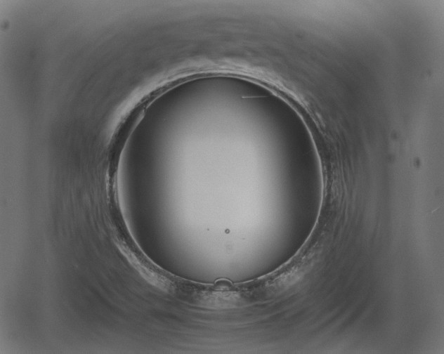 X0000062171503200512161238