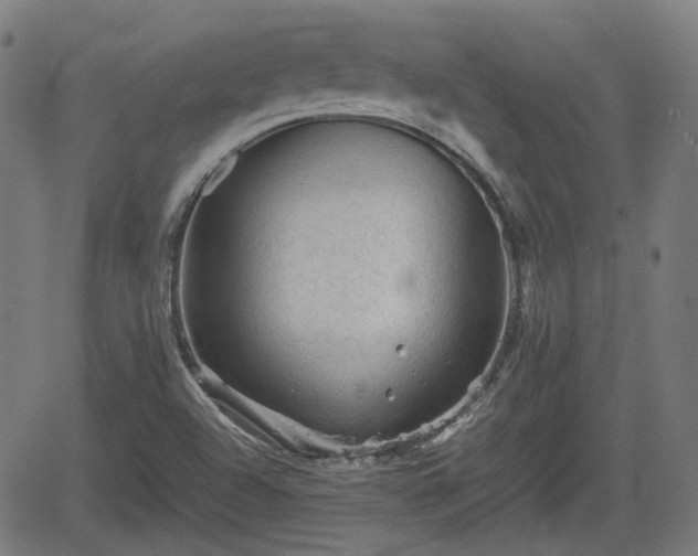 X0000062171504200512161238