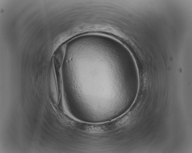 X0000062171505200512161238