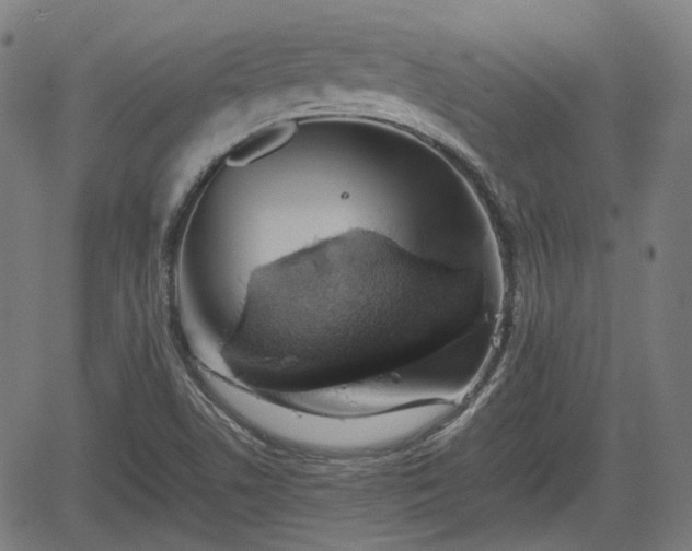 X0000062171506200512161238