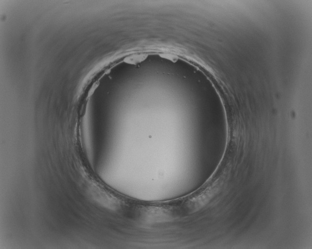 X0000062171507200512161238