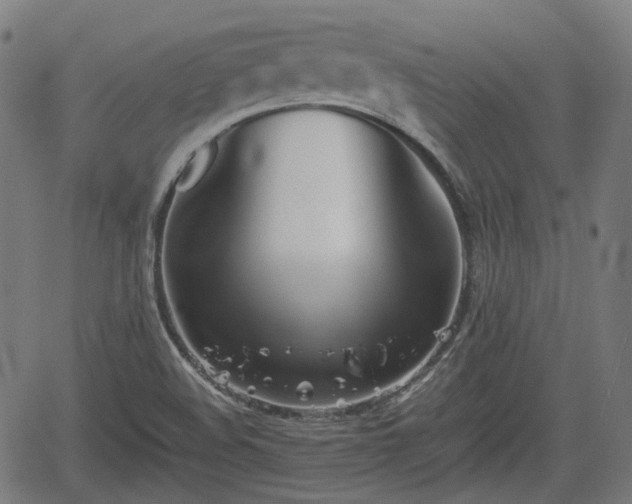 X0000062171508200512161238