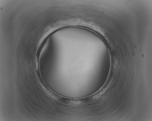 X0000062171509200512161238