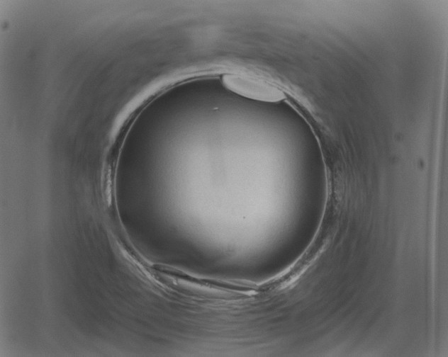 X0000062171510200512161238