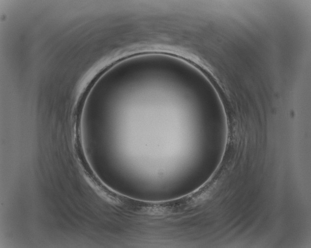 X0000062171511200512161238