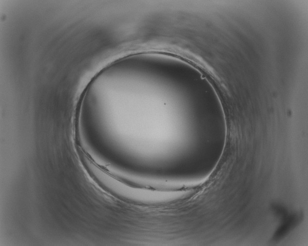 X0000062171512200512161238