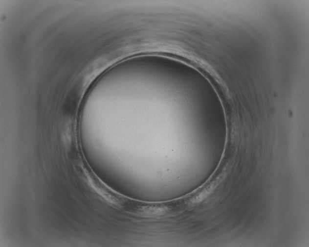 X0000062171513200512161238