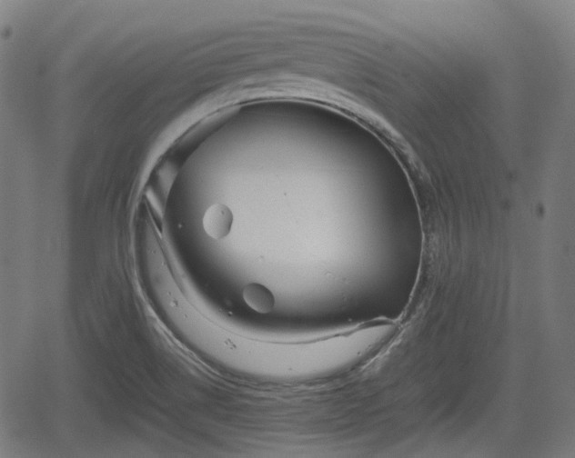 X0000062171514200512161238