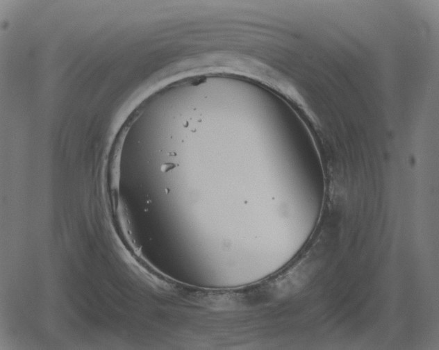 X0000062171516200512161238