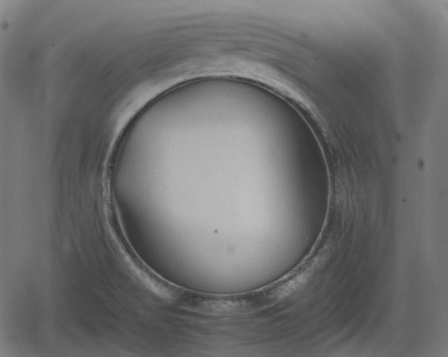 X0000062171517200512161238