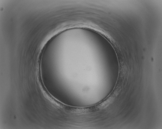 X0000062171518200512161238