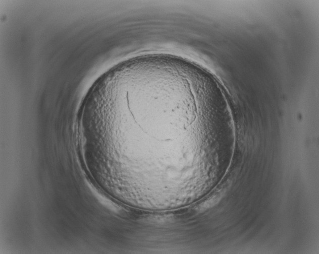 X0000062171519200512161238