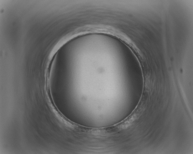 X0000062171520200512161238