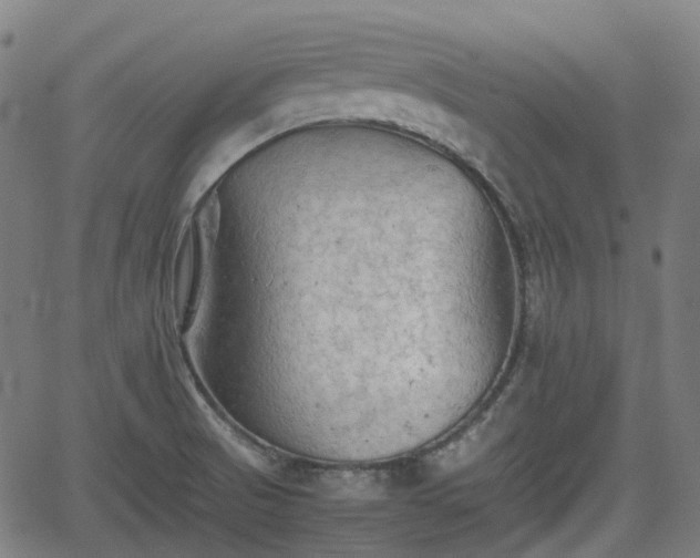 X0000062171521200512161238