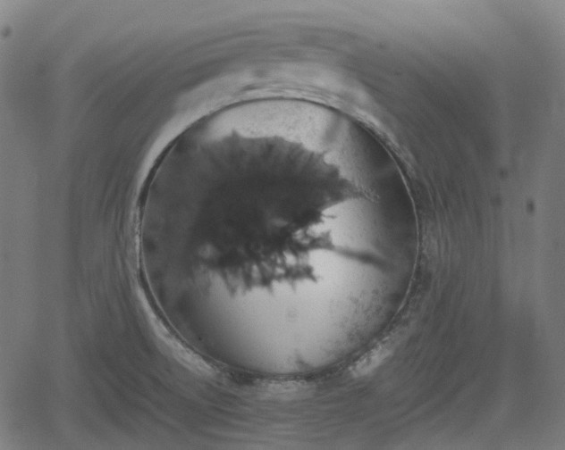 X0000062171522200512161238