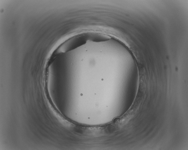 X0000062171523200512161238