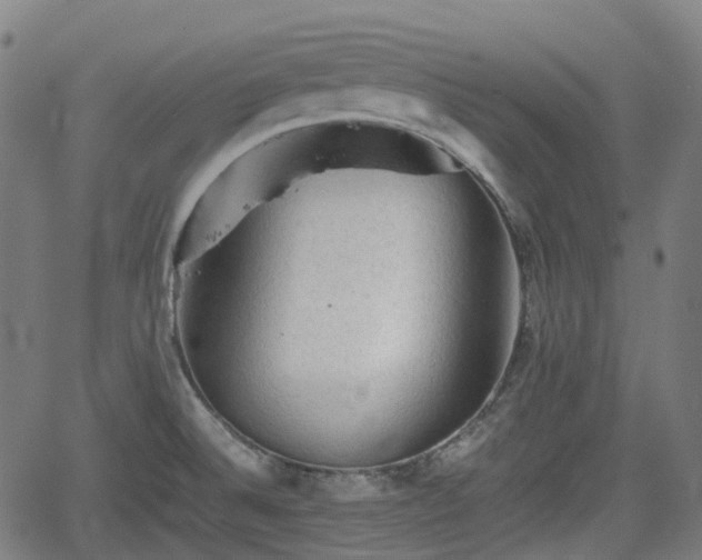 X0000062171524200512161238