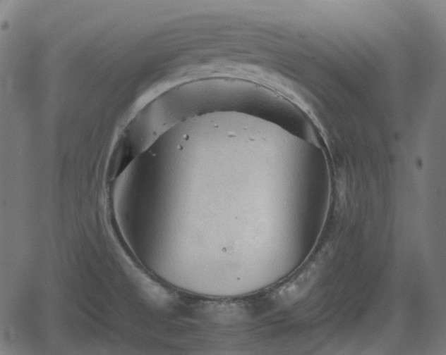 X0000062171525200512161238