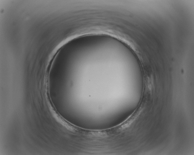 X0000062171526200512161238