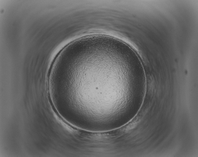 X0000062171527200512161238