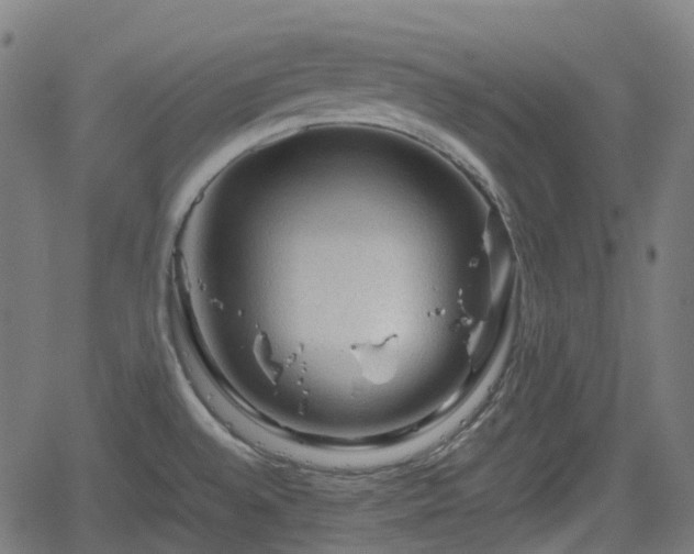 X0000062171528200512161238