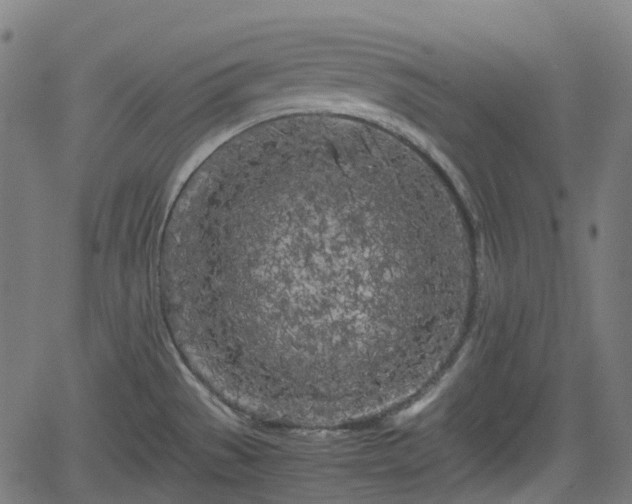 X0000062171529200512161238