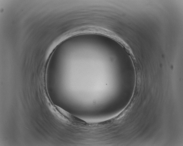 X0000062171530200512161238