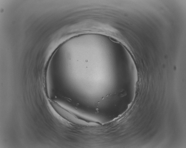 X0000062171531200512161238