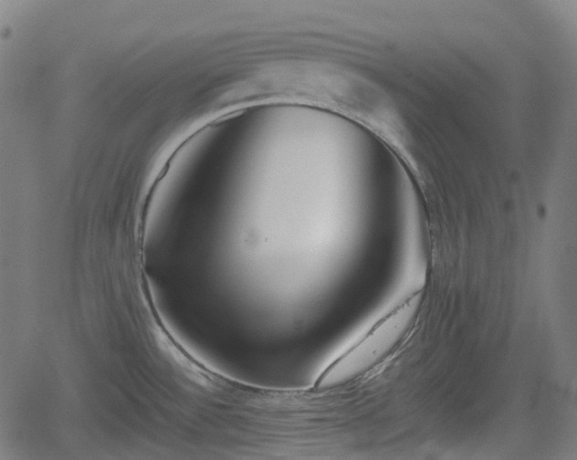 X0000062171532200512161238