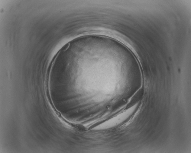 X0000062171533200512161238