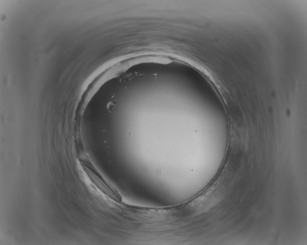 X0000062171534200512161238