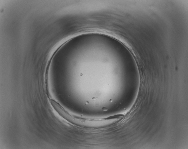 X0000062171535200512161238