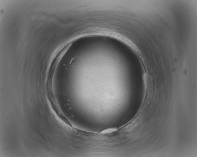 X0000062171536200512161238