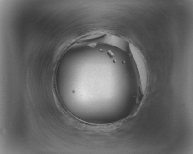 X0000062170001200512231639