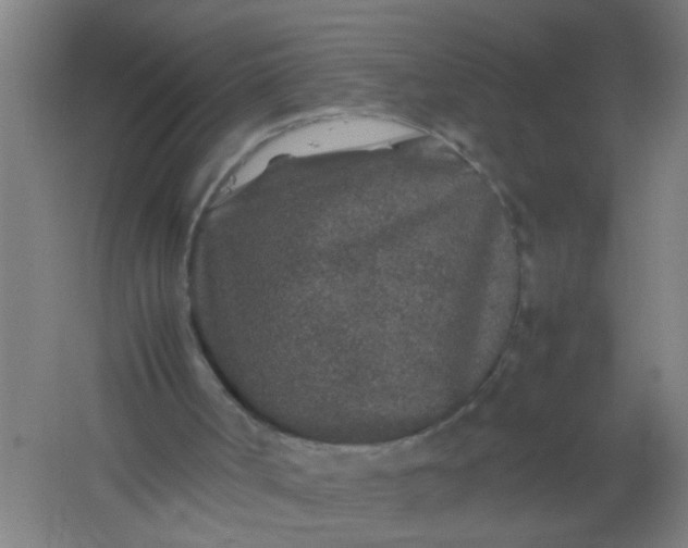 X0000062170002200512231639