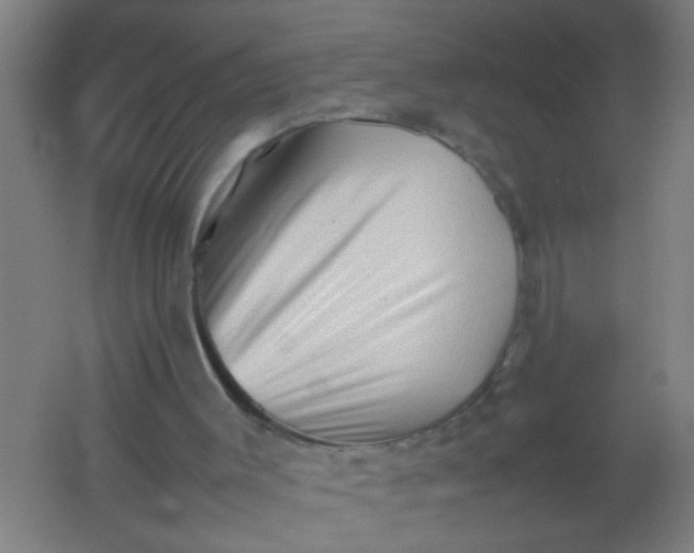 X0000062170003200512231639